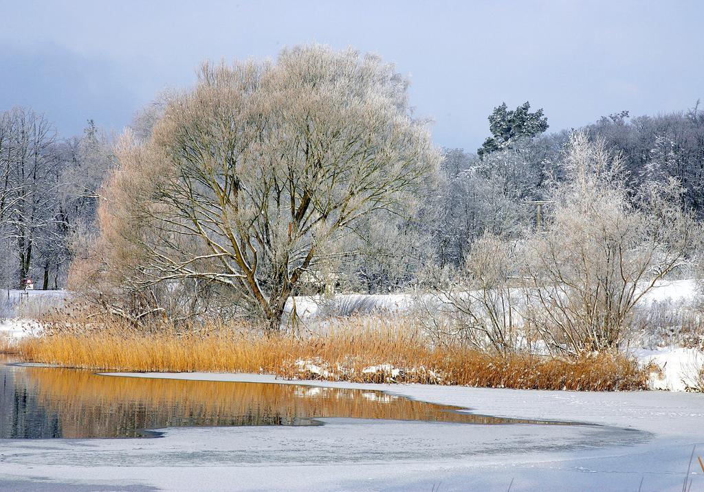 Appartementhaus Alter Speicher คลิงค์ ภายนอก รูปภาพ